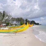 Row of bright yellow and green outrigger fishing boats on a sandy beach with trees and a cloudy sky.