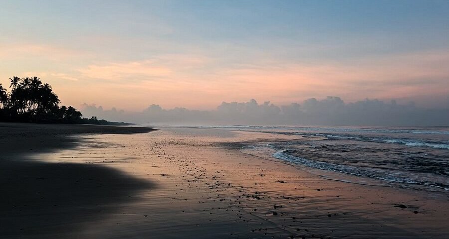 Sunset over a calm beach with palm trees on the left and wet sand reflecting pink sky.