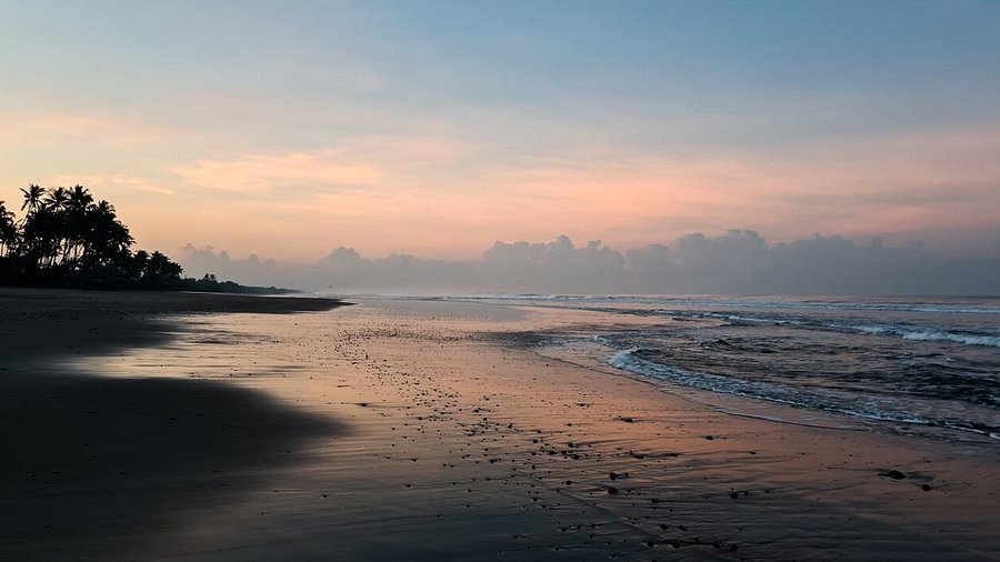 Sunset over a calm beach with palm trees on the left and wet sand reflecting pink sky.