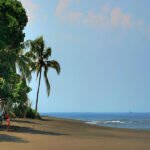 Tropical beach with palm trees, sandy shore, calm sea, and a distant sailboat on the horizon.
