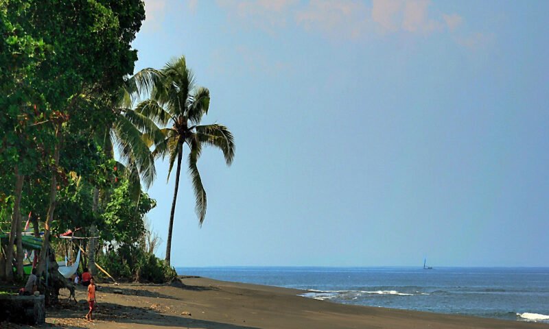 Tropical beach with palm trees, sandy shore, calm sea, and a distant sailboat on the horizon.