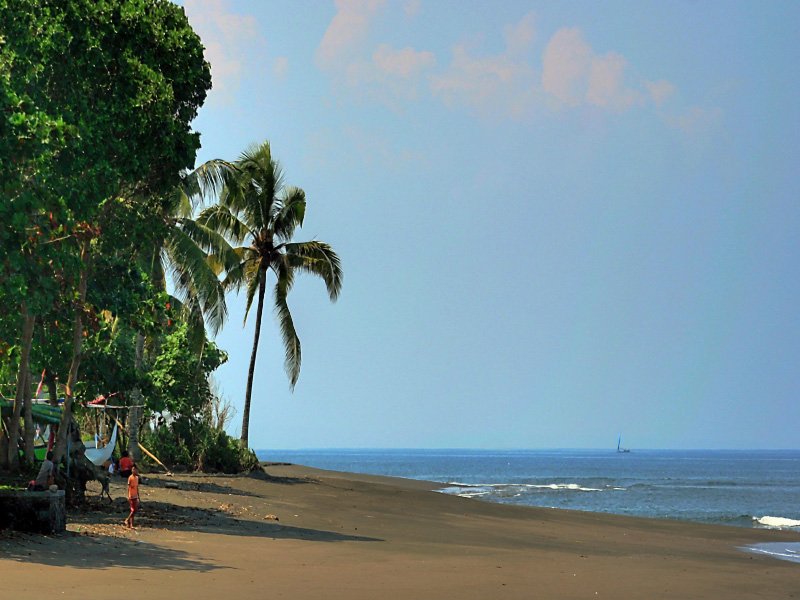 Tropical beach with palm trees, sandy shore, calm sea, and a distant sailboat on the horizon.