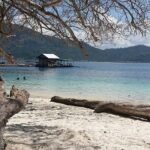 Beach scene with white sand, a gnarled tree, driftwood, and turquoise water; a small pier hut sits offshore with hills in the distance.