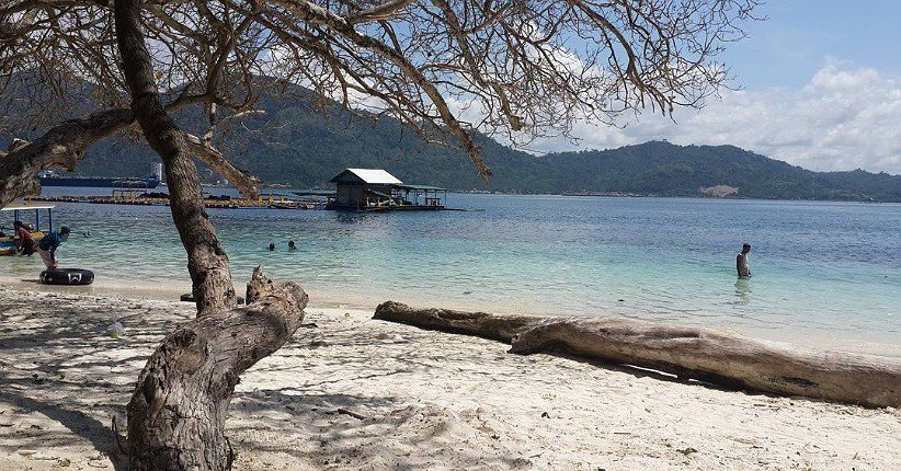 Beach scene with white sand, a gnarled tree, driftwood, and turquoise water; a small pier hut sits offshore with hills in the distance.