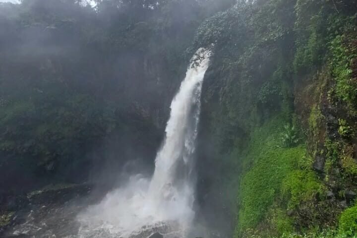 Waterfall plunging down a mossy cliff into a misty pool, surrounded by lush green vegetation.