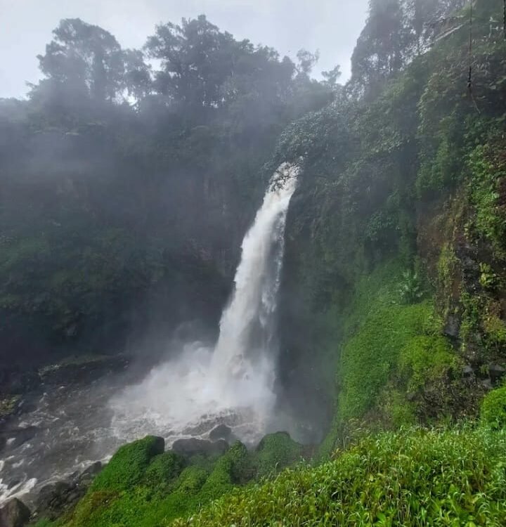 Waterfall plunging down a mossy cliff into a misty pool, surrounded by lush green vegetation.