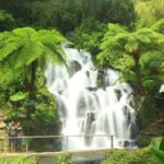 Waterfall cascades over rock steps in a lush tropical garden with visitors nearby and a viewing railing in the foreground.