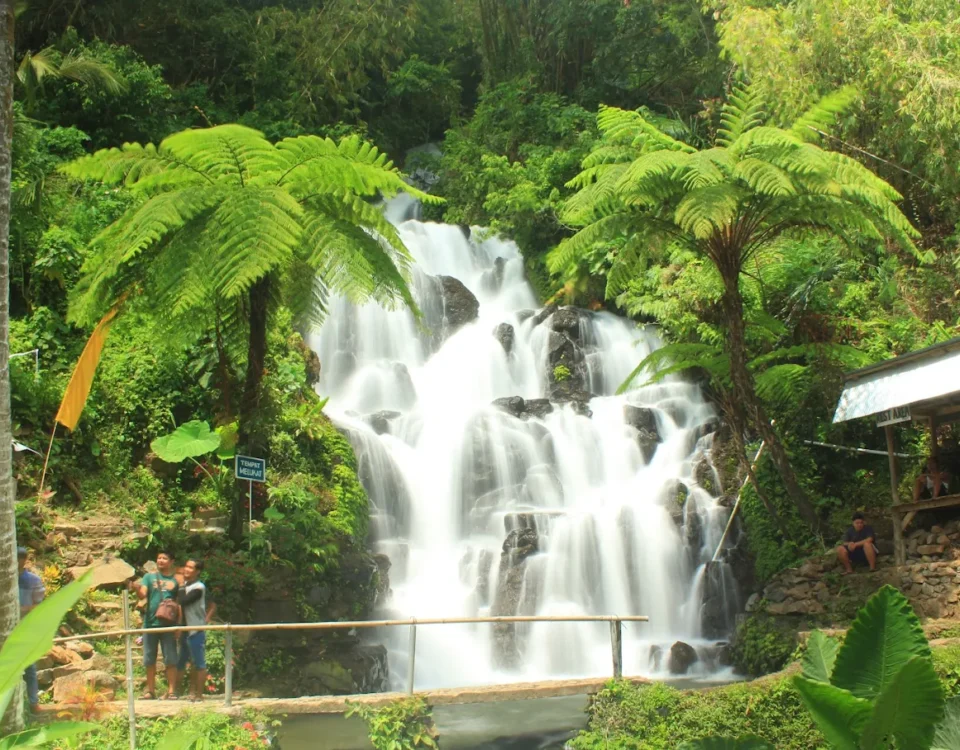 Waterfall cascades over rock steps in a lush tropical garden with visitors nearby and a viewing railing in the foreground.