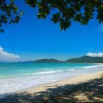 Sunny tropical beach with white sand, turquoise water, and distant green hills framed by leafy branches overhead.