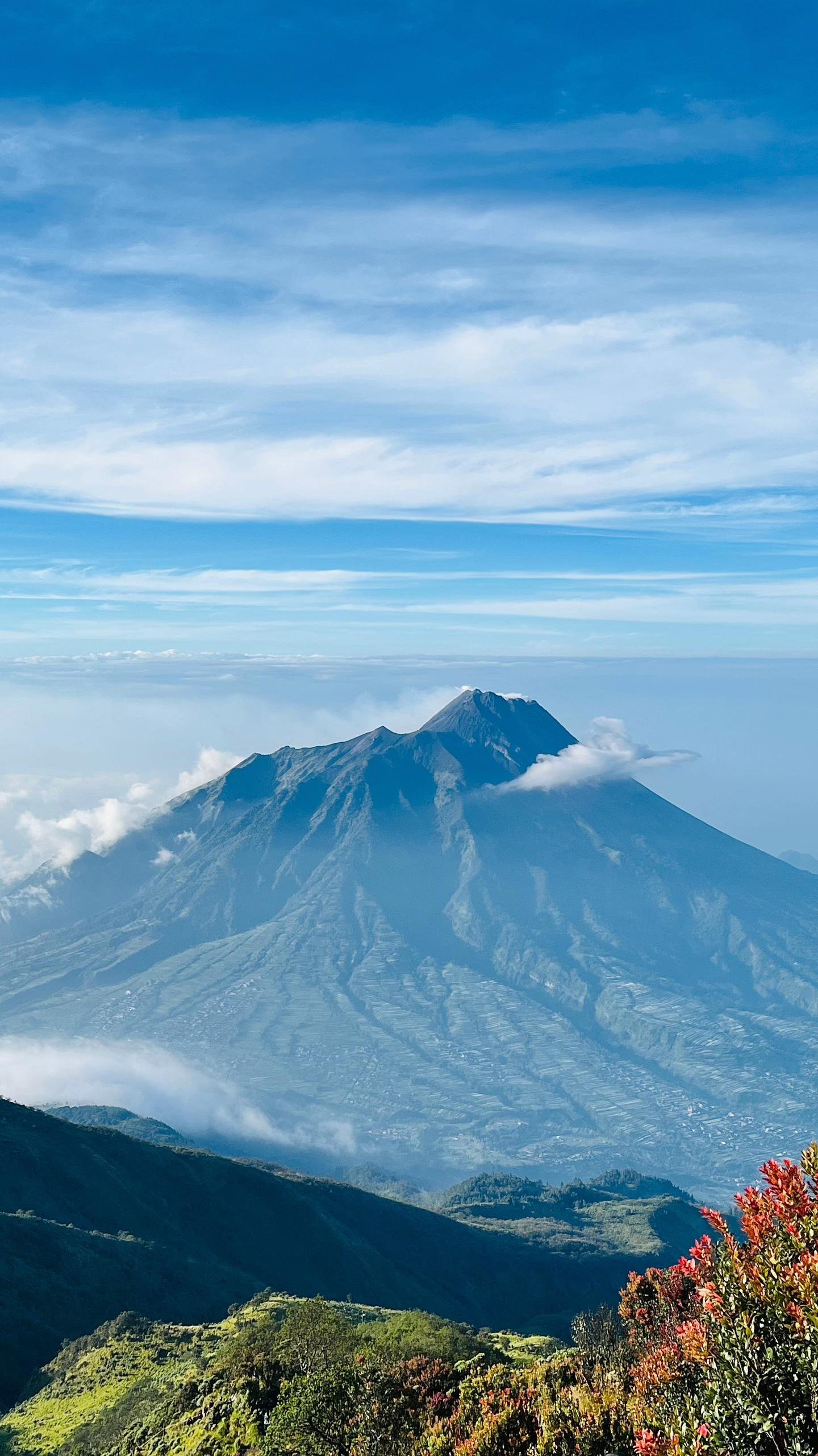 Booking online wajib melalui website resmi Taman Nasional Merbabu.