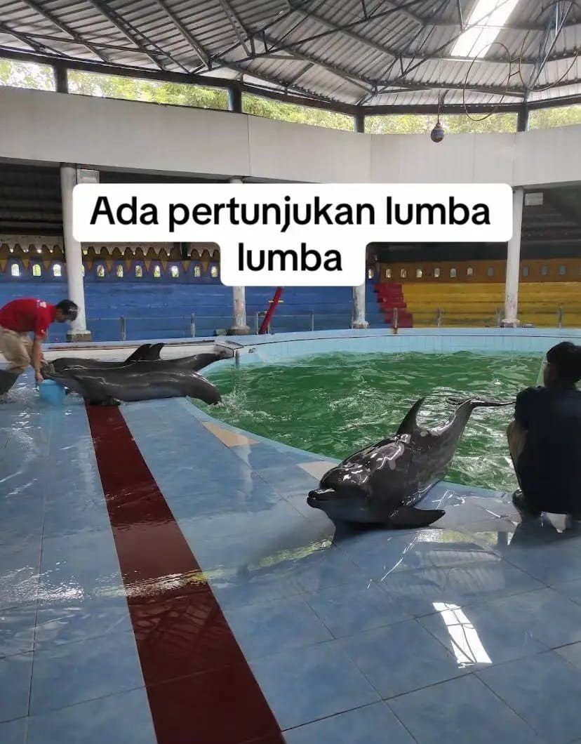 Orang tua dapat mengenalkan berbagai jenis hewan kepada anak-anak sambil mengajarkan pentingnya menjaga alam dan menyayangi satwa