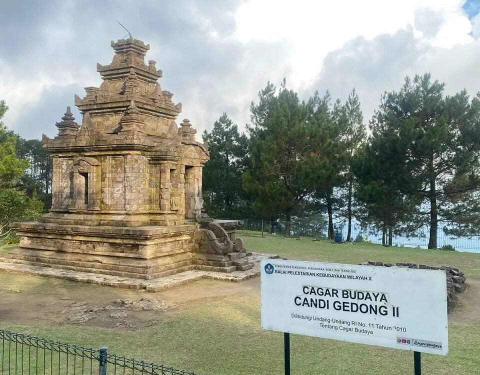 Stone ancient temple ruin (Candi Gedong II) with a multi-tiered stone structure set on a grassy area, surrounded by trees and a low fence nearby.