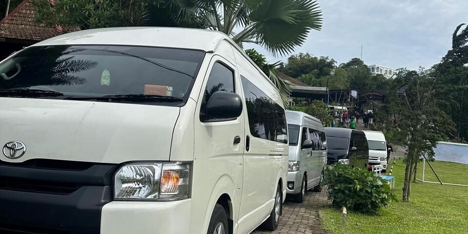 Line of white vans parked along a brick path in a tropical setting with palm trees and green grass nearby under a cloudy sky.