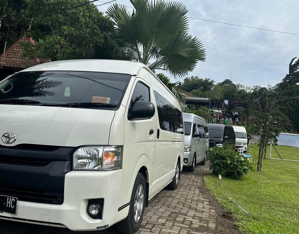 Line of white vans parked along a brick path in a tropical setting with palm trees and green grass nearby under a cloudy sky.