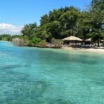 Turquoise water and a sandy beach lined with thatched umbrellas and trees along a sunny coastline.