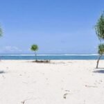 Beach scene with white sand, two tall palm trees on the sides, and a small tree near the water under a blue sky and calm ocean.