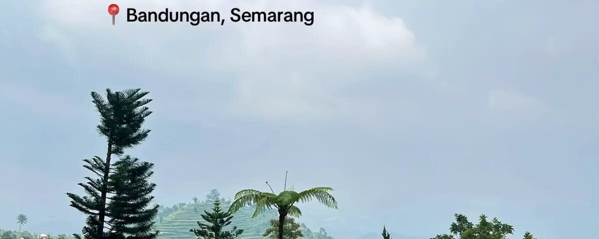 Pool at Umbul Sidomukti with wooden deck, people swimming and lounging, mountain backdrop and palm trees
