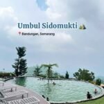 Pool at Umbul Sidomukti with wooden deck, people swimming and lounging, mountain backdrop and palm trees