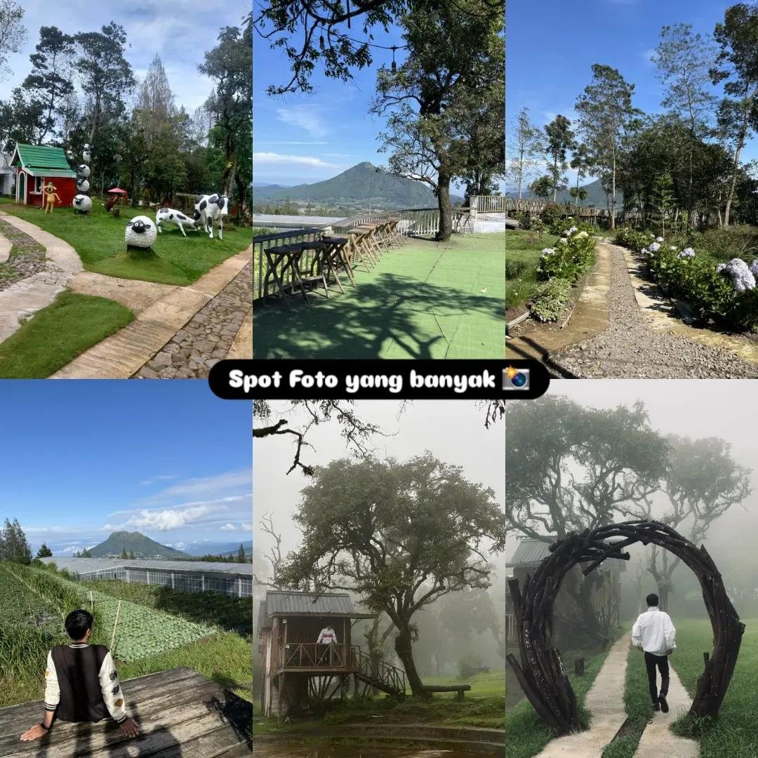 Pemandangan hutan pinus dan pegunungan menjadi favorit wisatawan untuk hunting foto.