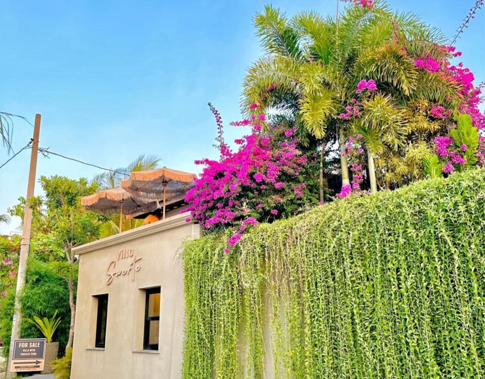 Cream villa wall with a lush green vine hedge and pink bougainvillea, under a bright blue sky (for sale sign visible).