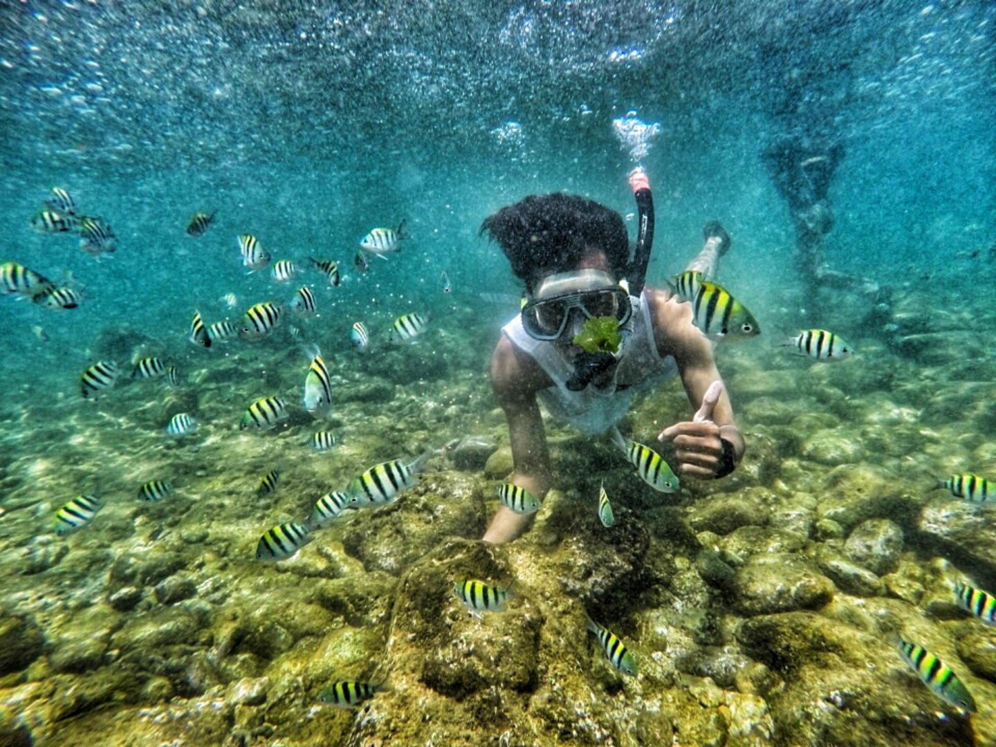Pantai Nglambor terkenal sebagai salah satu lokasi snorkeling terbaik di Yogyakarta.