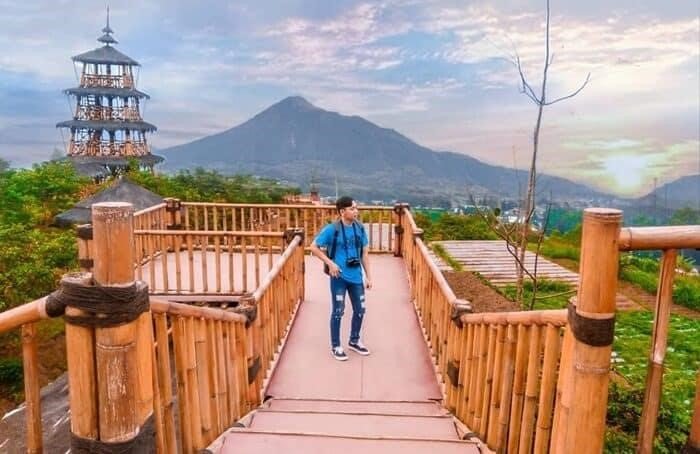 Banyak area estetik dengan background pegunungan Merbabu yang cocok untuk konten media sosial.