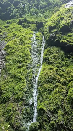 Harga tiket masuk wisata ini tergolong sangat terjangkau, sehingga cocok untuk wisata keluarga maupun rombongan.
