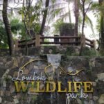 Stone wall with a cascading water feature and the Lombok Wildlife Park sign, surrounded by tropical palm trees and greenery.
