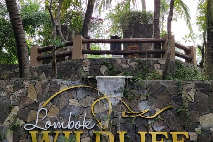 Stone wall with a cascading water feature and the Lombok Wildlife Park sign, surrounded by tropical palm trees and greenery.