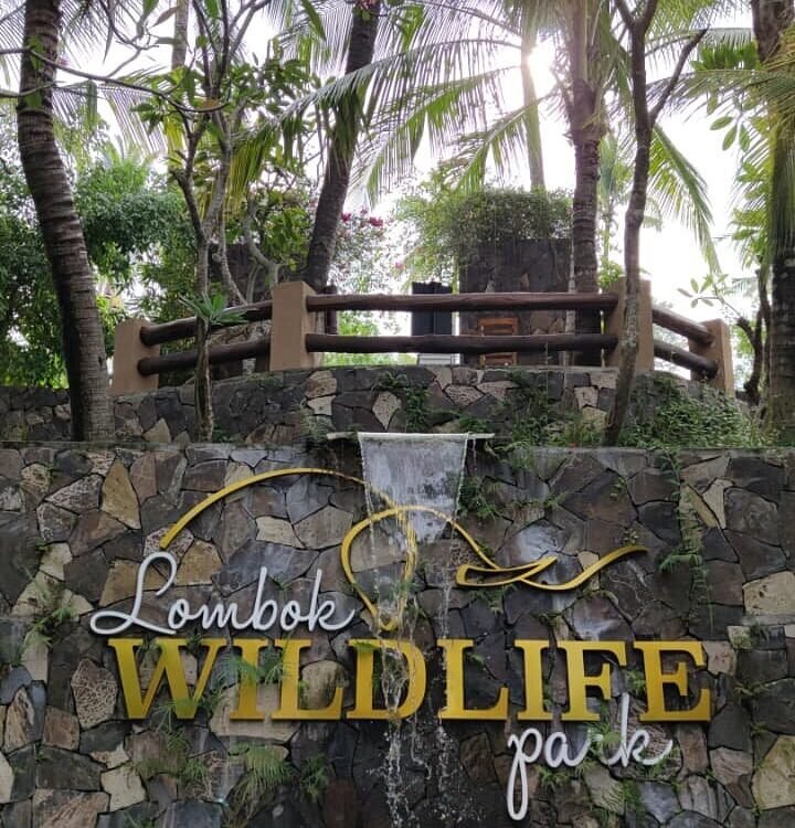 Stone wall with a cascading water feature and the Lombok Wildlife Park sign, surrounded by tropical palm trees and greenery.