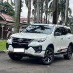 White Toyota SUV parked on a residential street with palm trees, a cat walking on the curb nearby.