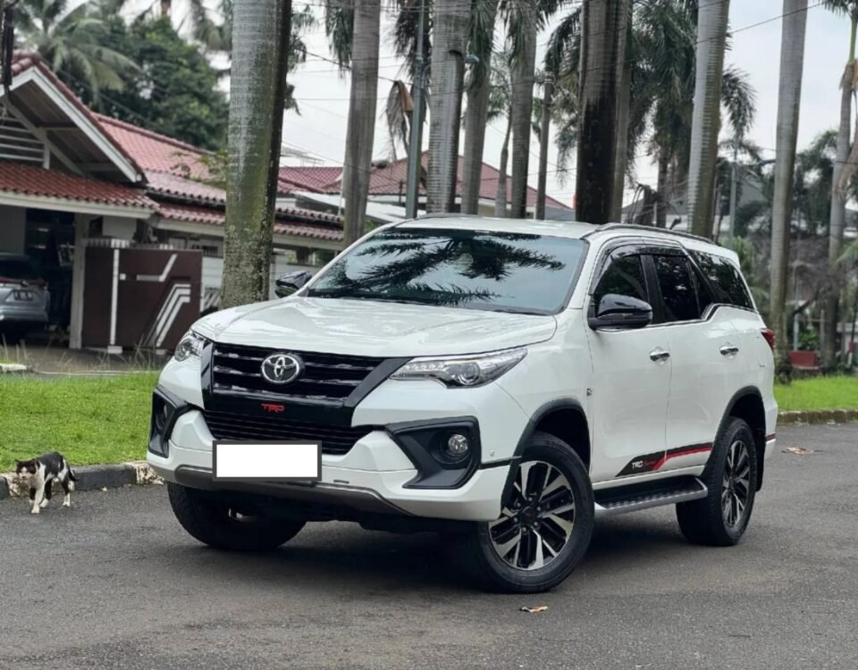 White Toyota SUV parked on a residential street with palm trees, a cat walking on the curb nearby.