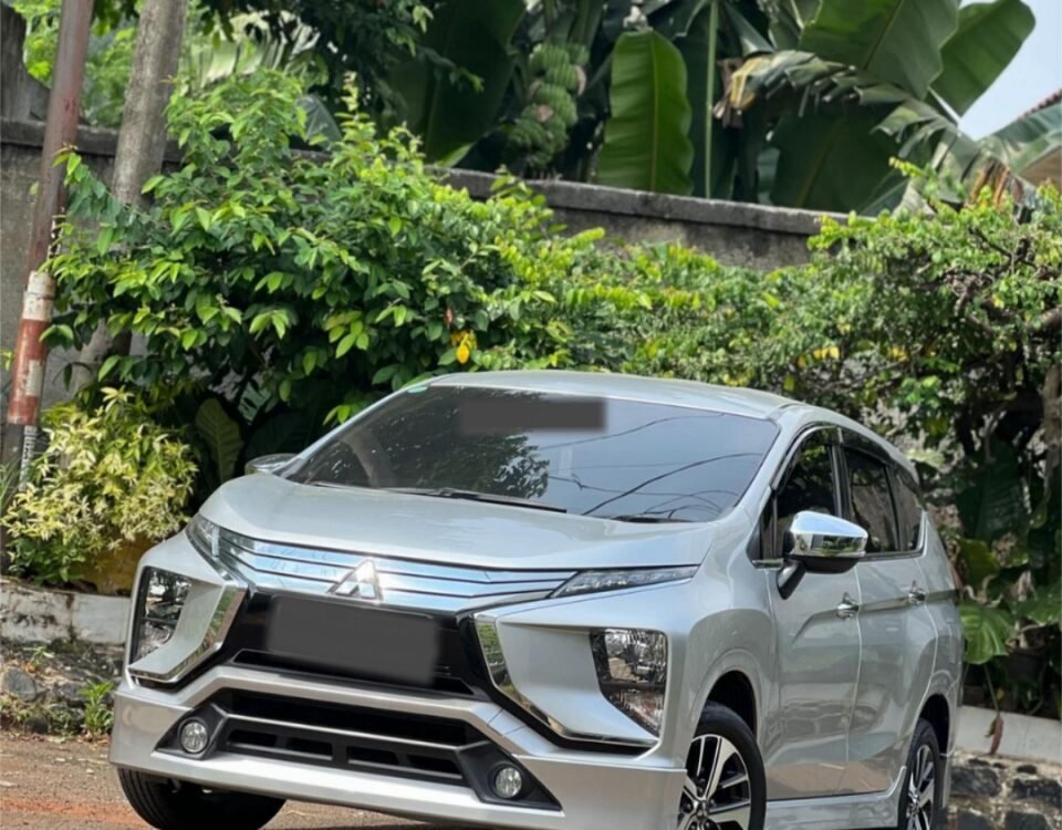 Silver Mitsubishi SUV parked on a street beside lush green tropical plants and a concrete wall.