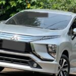 Silver Mitsubishi SUV parked on a street beside lush green tropical plants and a concrete wall.