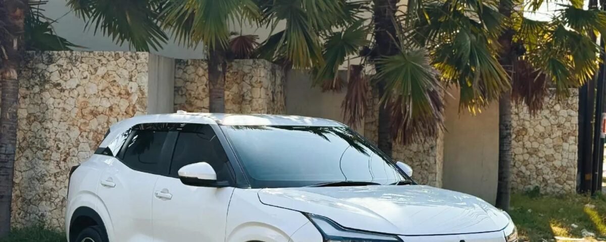 White Mitsubishi SUV parked on a paved driveway with palm trees and a stone wall behind it.