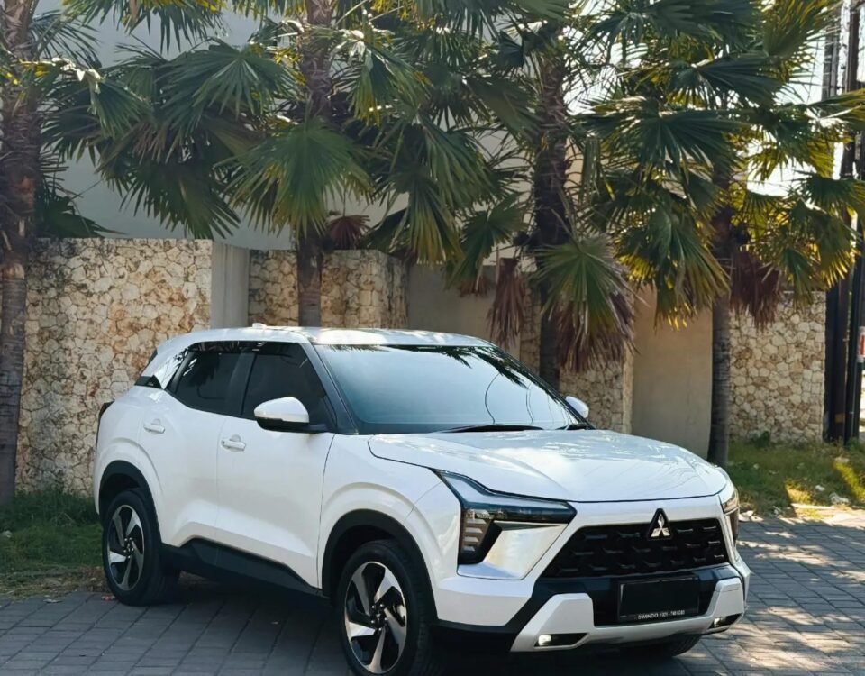 White Mitsubishi SUV parked on a paved driveway with palm trees and a stone wall behind it.