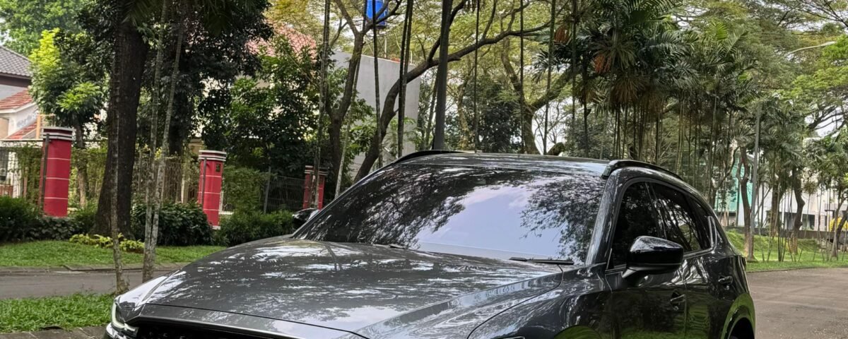 snaptik-app-7515280678808849720-slide-3 - Dyantransport Dark gray Mazda SUV parked on a street beside a row of palm-like trees and greenery in the background.