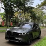 Dark gray Mazda SUV parked on a street beside a row of palm-like trees and greenery in the background.
