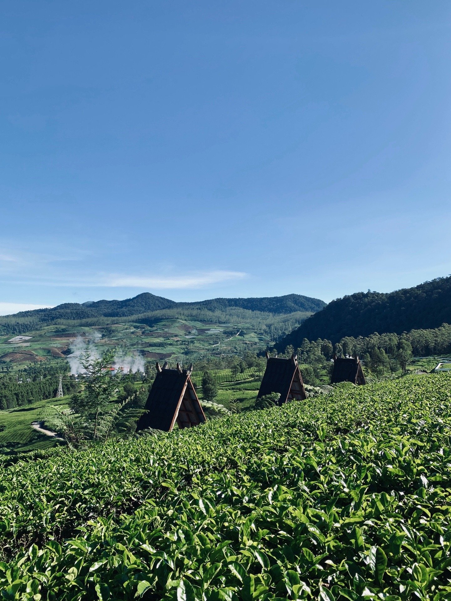 Sewa Mobil Semarang