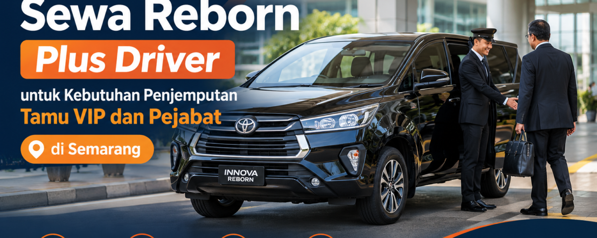 Sewa Reborn Plus Driver