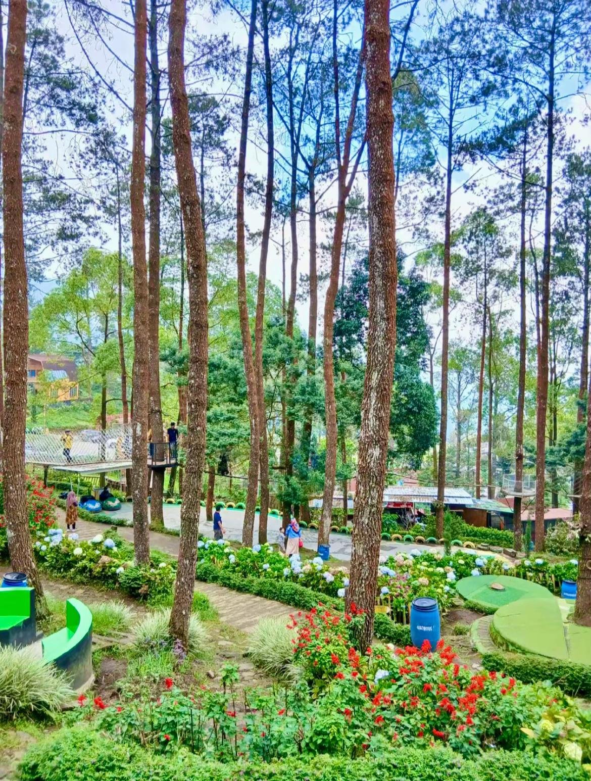 Rental Mobil Semarang