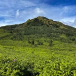 Sewa Reborn Semarang