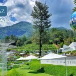 Rental Mobil Semarang