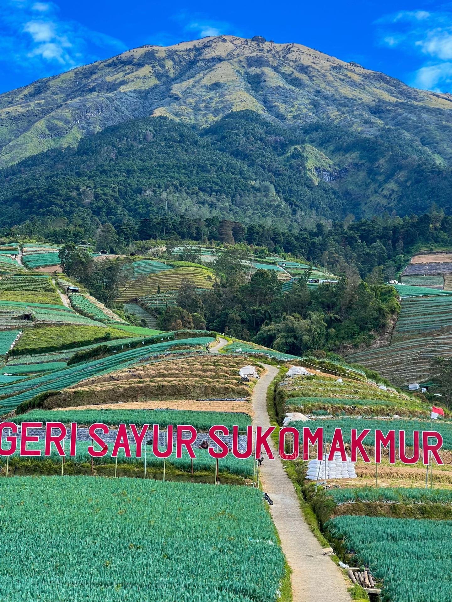 Sewa Mobil Semarang