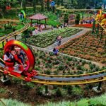 Sewa Mobil Semarang