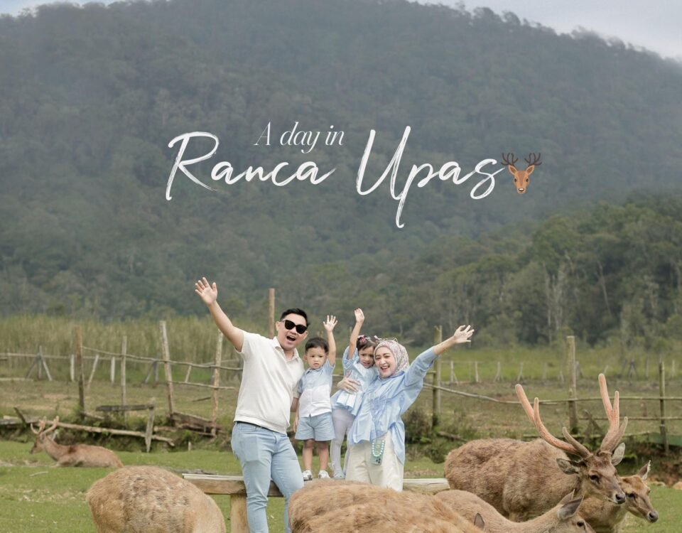 Rental Mobil Semarang