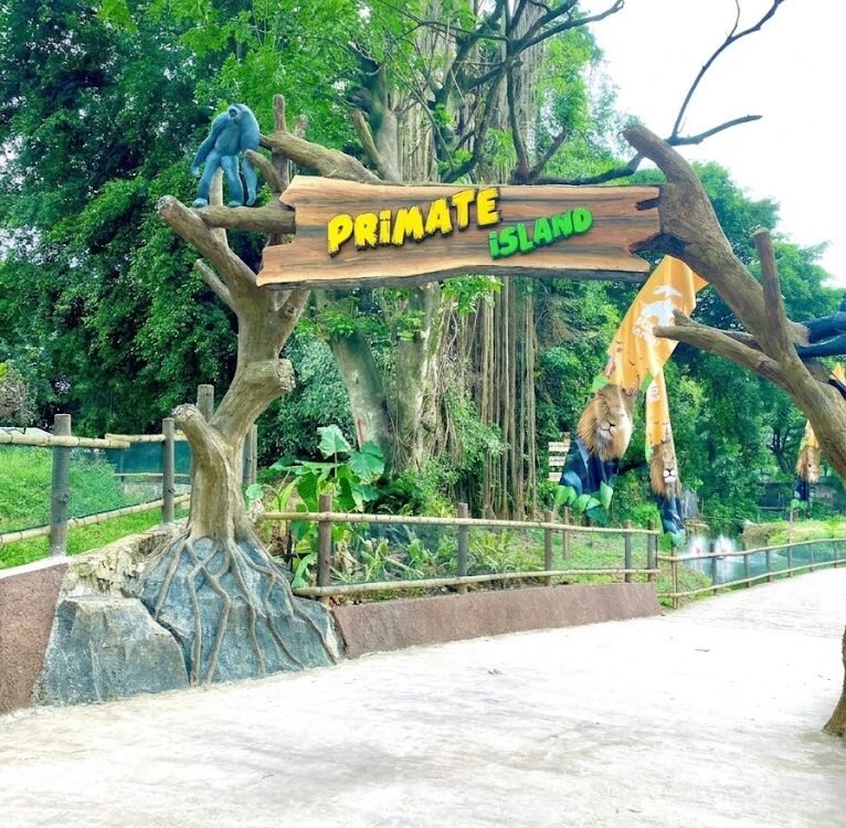 Sewa Alpard Semarang
